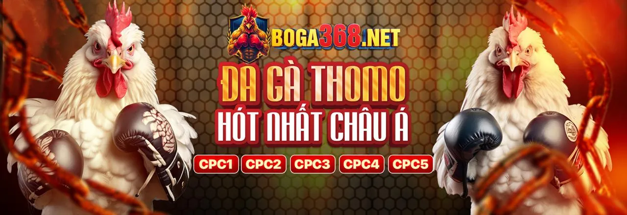 Đá Gà Trực Tuyến Uuu888 Kịch Tính